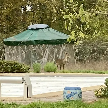 Oasis Du Quercy Casa de Férias Montaigu-de-Quercy