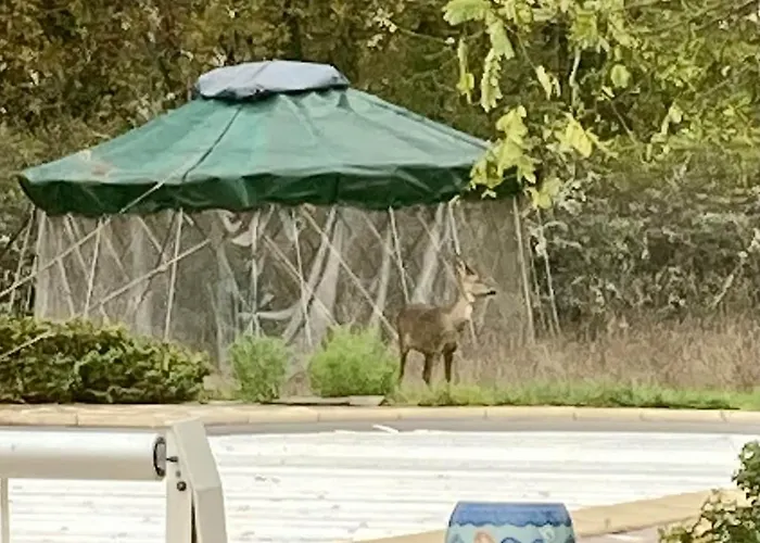 Oasis Du Quercy Ferienhaus Montaigu-de-Quercy